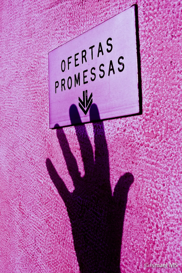 «Quando se segue uma chamada de Jesus Cristo, atualiza-se também uma decisão de entrega por amor. Quando se diz que sim pela primeira vez à chamada, não se sabe tudo o que Deus vai pedir, mas a pessoa já quer dar-se de todo e para sempre».