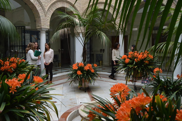 Patio interior del Centro Educativo Zalima