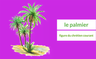 Le palmier, figure du chrétien courant