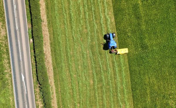 Commentary on the Gospel: The Parable of the Sower