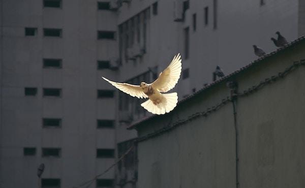 Novena to the Holy Spirit