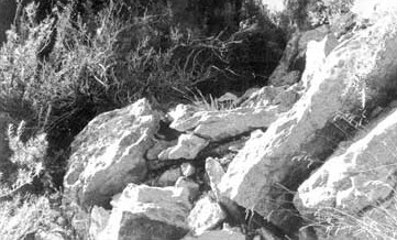 "En una sociedad en la que el afán desenfrenado de poseer cosas materiales las convierte en un ídolo y motivo de alejamiento de Dios, el nuevo Beato nos recuerda que estas mismas realidades, criaturas de Dios y del ingenio humano, si se usan rectamente para gloria del Creador y al servicio de los hermanos, pueden ser camino para el encuentro de los hombres con Cristo