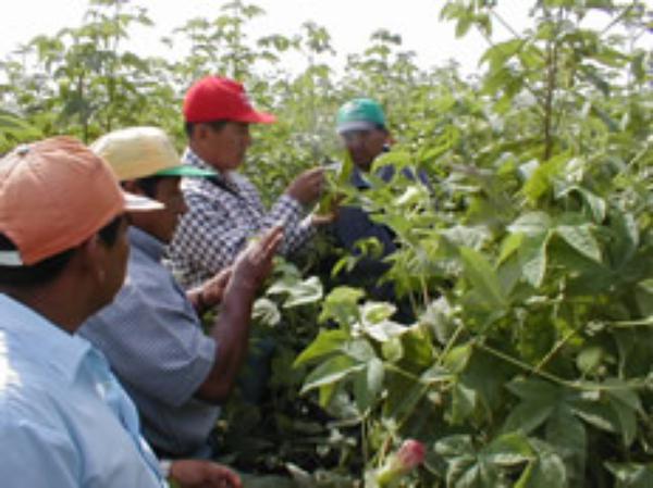 Apostar por el Campo: 37 años de Valle Grande