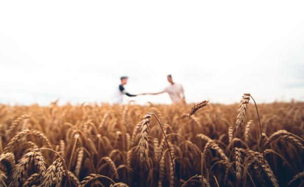 Commentary on the Gospel: The Laborers in the Vineyard